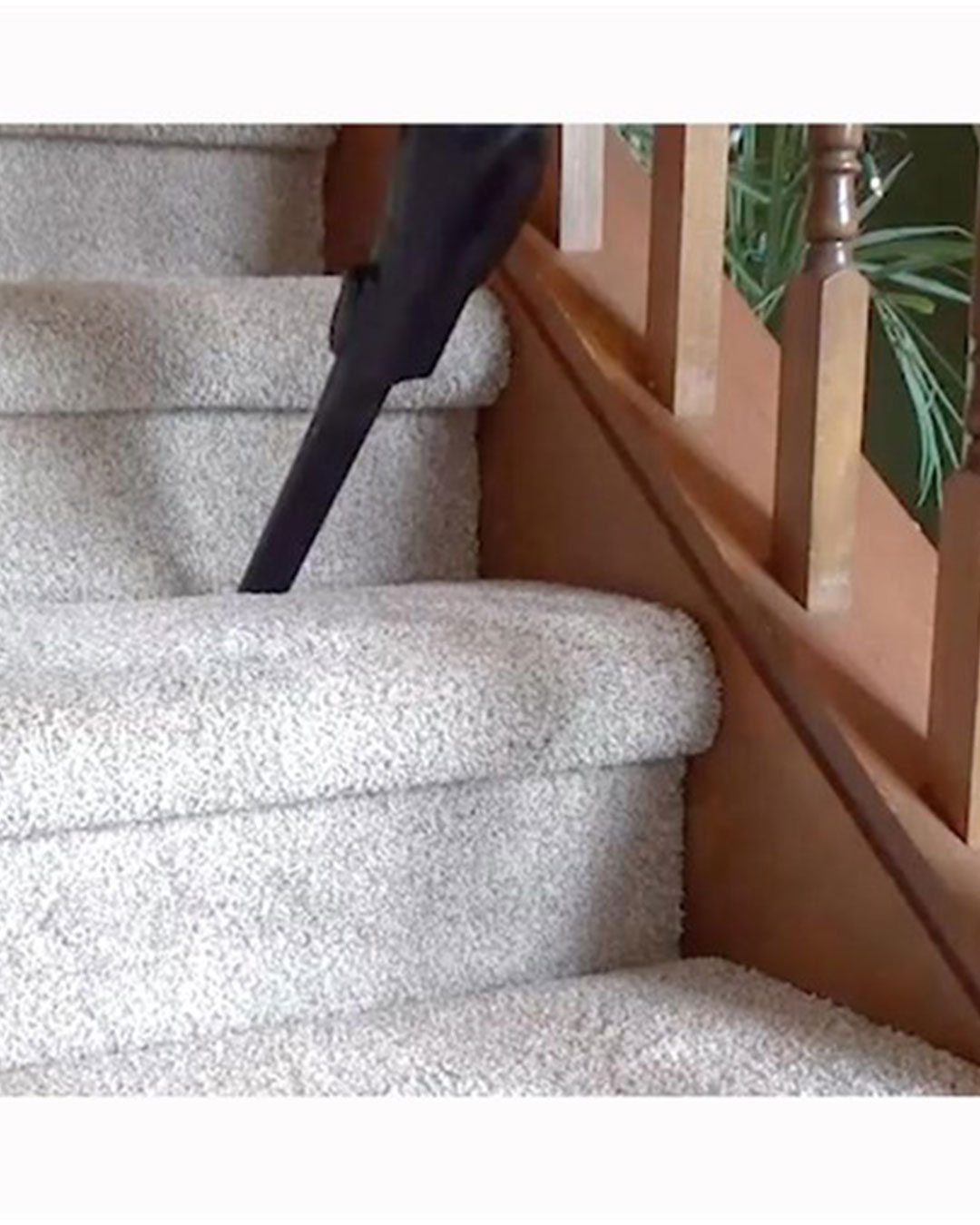 filterqueen-majestic-elektrikli-supurge-05